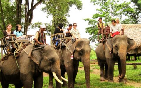 Video review du lịch Bản (Buôn) Đôn, Đắk Lắk