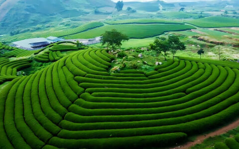 Du lịch Hà Nội – Ba Khan – Mộc Châu 4 ngày, 3 đêm