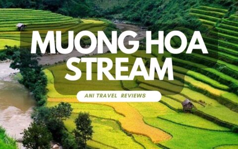 Video review vẻ đẹp của Suối Mường Hoa, Sa Pa, Lào Cai