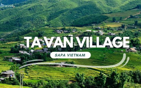Video review vẻ đẹp Bản Tả Van Giáy, Sa Pa, Lào Cai